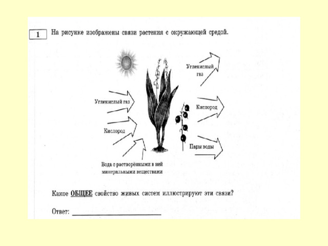 Какое свойство живых систем иллюстрируют данные диаграммы