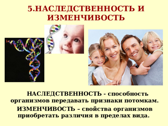 5.НАСЛЕДСТВЕННОСТЬ И ИЗМЕНЧИВОСТЬ  НАСЛЕДСТВЕННОСТЬ - способность организмов передавать признаки потомкам. ИЗМЕНЧИВОСТЬ – свойства организмов приобретать различия в пределах вида. 