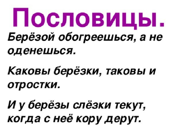 Слово такова. Пословица к слову береза. Пословица к слову береза 3 класс. Поговорки к слову береза. Пословицы и загадки к слову береза.