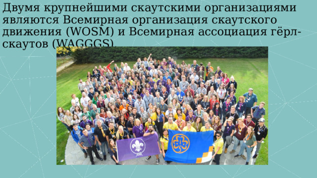 Двумя крупнейшими скаутскими организациями являются Всемирная организация скаутского движения (WOSM) и Всемирная ассоциация гёрл-скаутов (WAGGGS). 