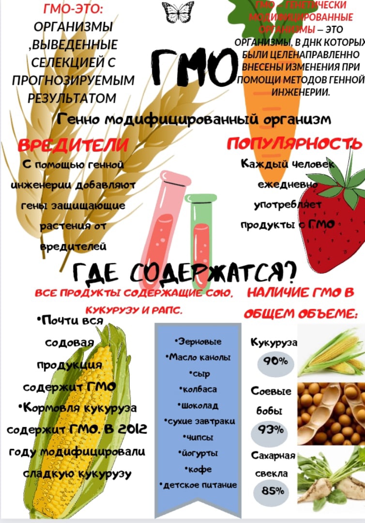 Индивидуальный итоговый проект на тему: «ГМО: пища будущего или риск для  здоровья?»