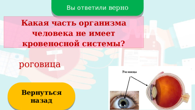 Вы ответили верно Какая часть организма человека не имеет кровеносной системы? роговица Вернуться назад  