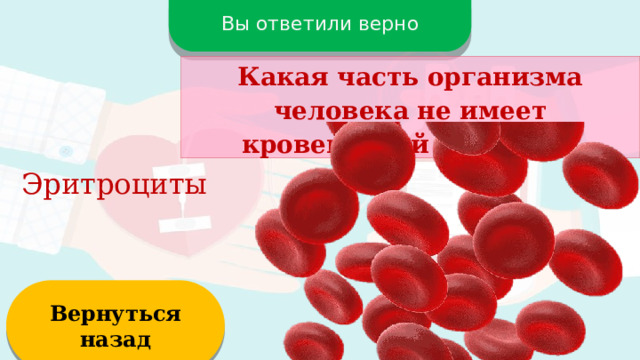 Вы ответили верно Какая часть организма человека не имеет кровеносной системы? Эритроциты Вернуться назад  