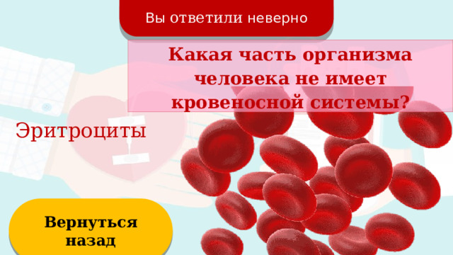Вы ответили неверно Какая часть организма человека не имеет кровеносной системы? Эритроциты Вернуться назад  