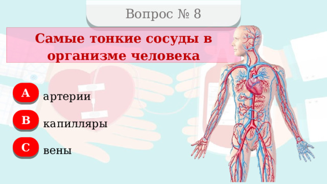 Вопрос № 8 Самые тонкие сосуды в организме человека А артерии B капилляры C вены  