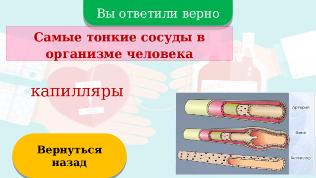 Вы ответили верно Самые тонкие сосуды в организме человека капилляры Вернуться назад  