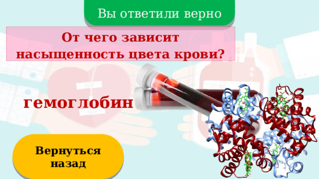 Вы ответили верно От чего зависит насыщенность цвета крови? гемоглобин Вернуться назад  