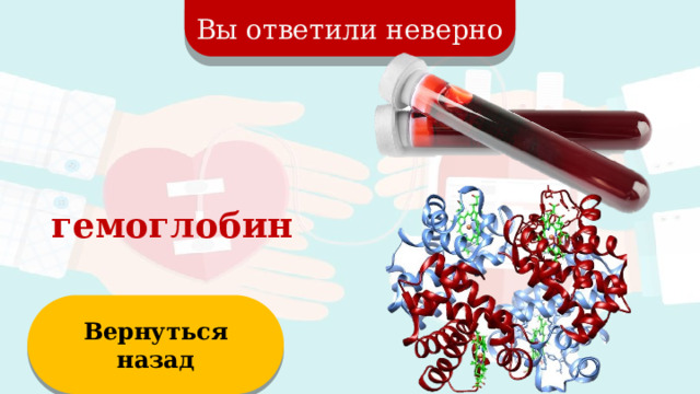 Вы ответили неверно гемоглобин Вернуться назад  