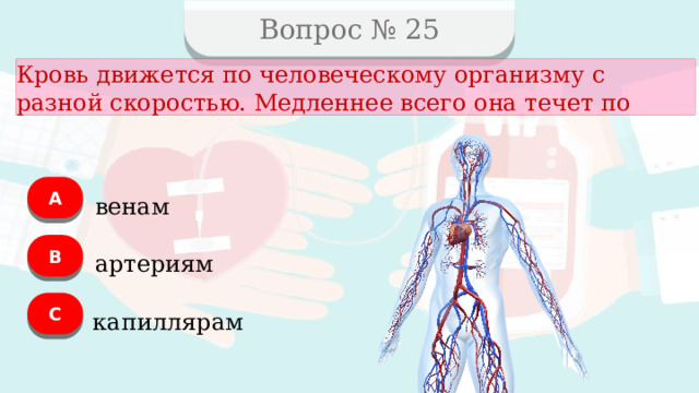 Вопрос № 25 Кровь движется по человеческому организму с разной скоростью. Медленнее всего она течет по А венам B артериям C капиллярам  