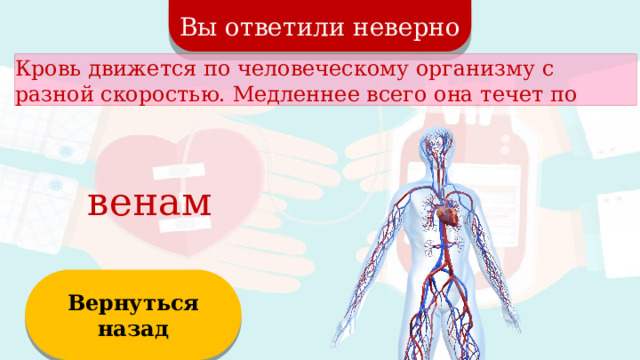 Вы ответили неверно Кровь движется по человеческому организму с разной скоростью. Медленнее всего она течет по венам Вернуться назад  