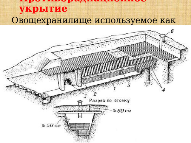 Проект овощехранилища подземного