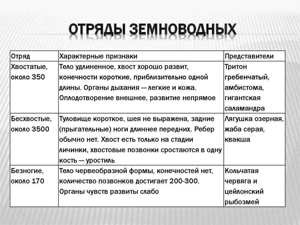 Пользуясь материалом параграфа составьте план ответа по теме общая характеристика земноводных