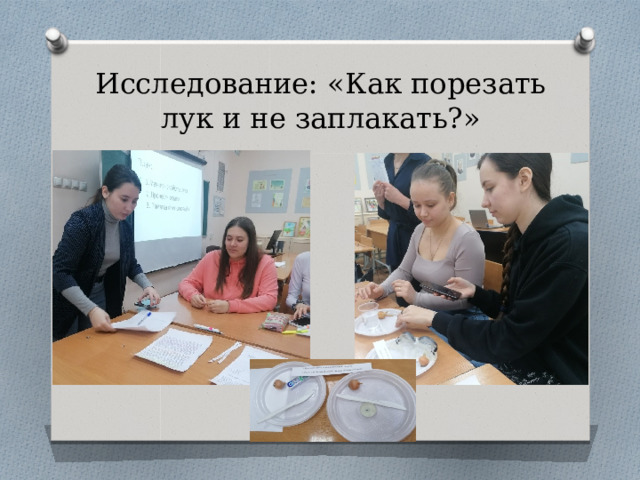 Исследование: «Как порезать лук и не заплакать?» 