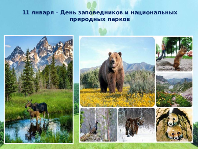11 января – День заповедников и национальных природных парков 