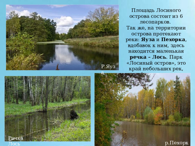 Площадь Лосиного острова состоит из 6 лесопарков. Так же, на территории острова протекают реки: Яуза и Пехорка , вдобавок к ним, здесь находится маленькая речка – Лось . Парк «Лосиный остров», это край небольших рек, болот, озер. Р.Яуза Речка Лось р.Пехорка 
