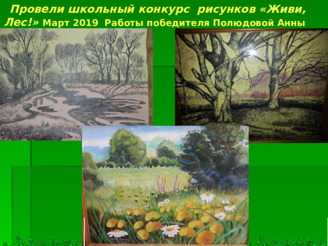 Провели школьный конкурс рисунков «Живи, Лес!» Март 2019 Работы победителя Полюдовой Анны  