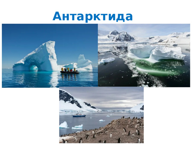 Антарктида 