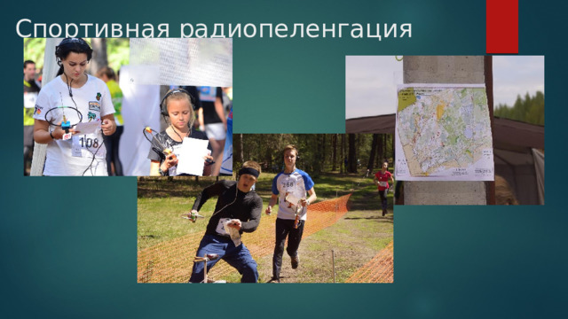 Спортивная радиопеленгация 
