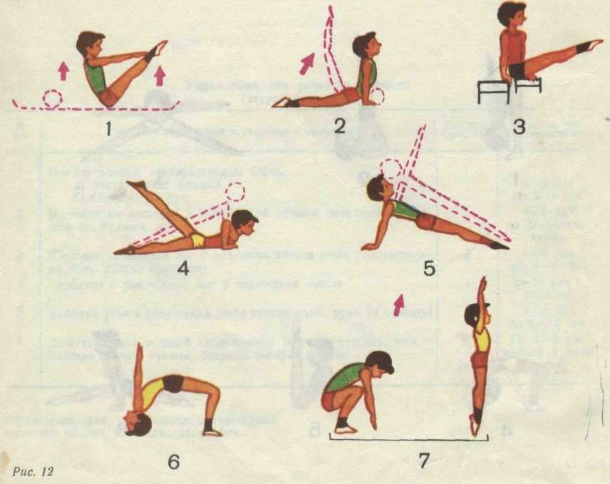 Картинки упражнений по гимнастике