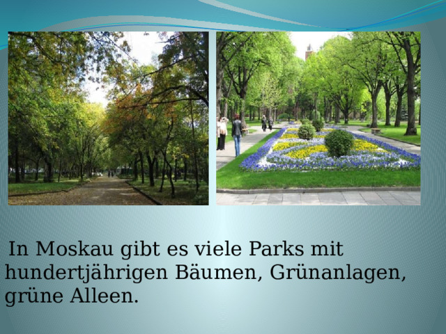  In Moskau gibt es viele kleine Straßen mit alten H äusern, schöne weiße Kirchen ldenen Kuppeln, Klöster und Paläste ,Parks, Grünanlangen, berühmte Denkmäler.  In Moskau gibt es viele Parks mit hundertjährigen Bäumen, Gr ünanlagen, grüne Alleen. 