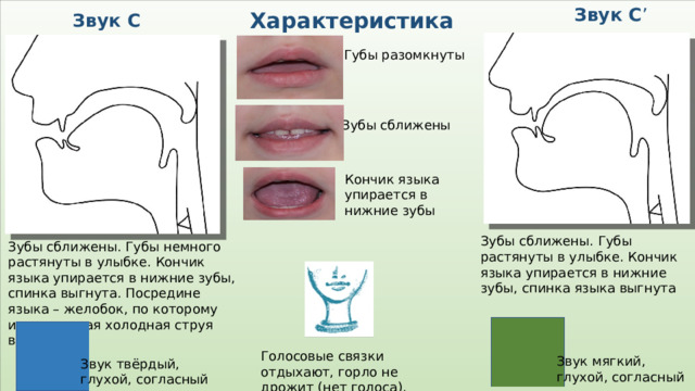 Характеристика звука сь. Звук с зубы сближены. Буква с звуки с сь. С сь характеристика звуков в картинках.