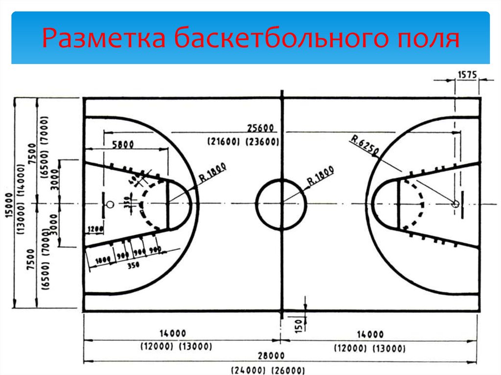 Схема баскетбольной площадки с размерами и названиями