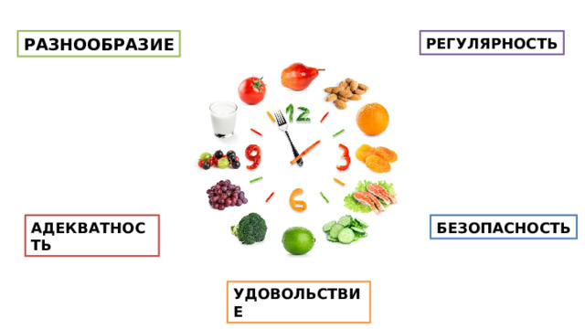РАЗНООБРАЗИЕ РЕГУЛЯРНОСТЬ АДЕКВАТНОСТЬ БЕЗОПАСНОСТЬ УДОВОЛЬСТВИЕ 