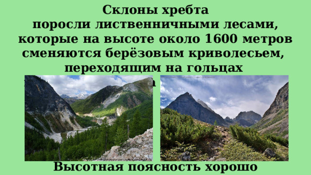 Склоны хребта поросли лиственничными лесами, которые на высоте около 1600 метров сменяются берёзовым криволесьем, переходящим на гольцах  в альпийские луга и горную тундру. Высотная поясность хорошо прослеживается. 