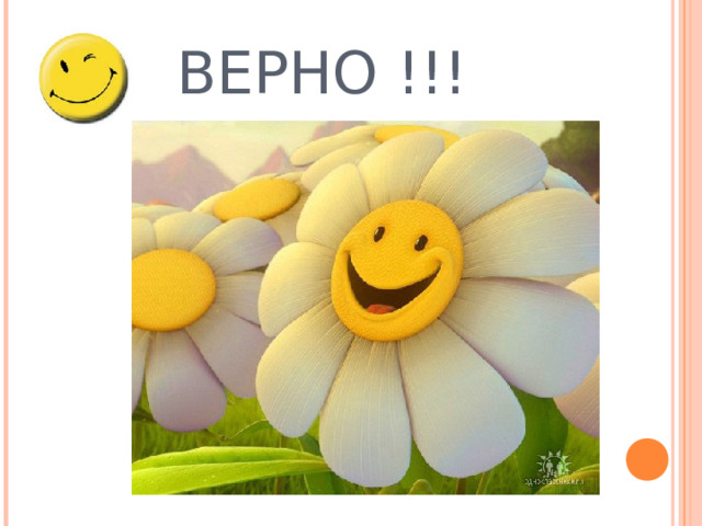 ВЕРНО !!! 