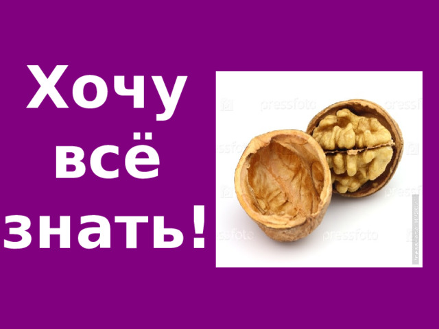 Хочу всё знать! 