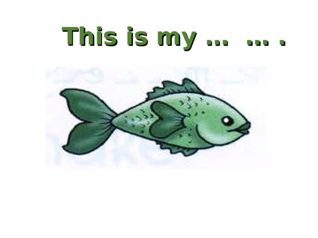 This is my … … . 