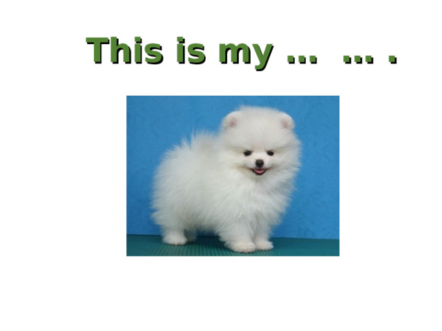 This is my … … . 