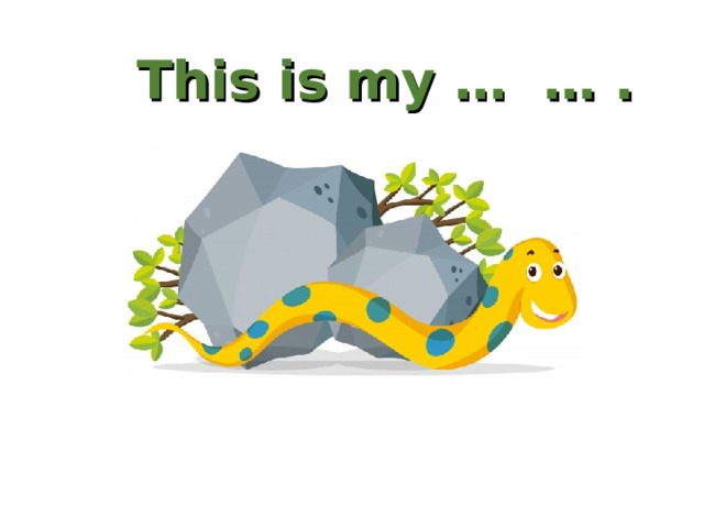 This is my … … . 