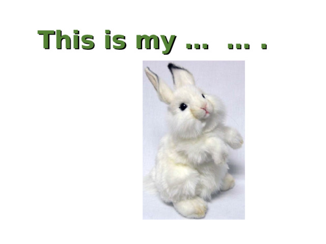 This is my … … . 