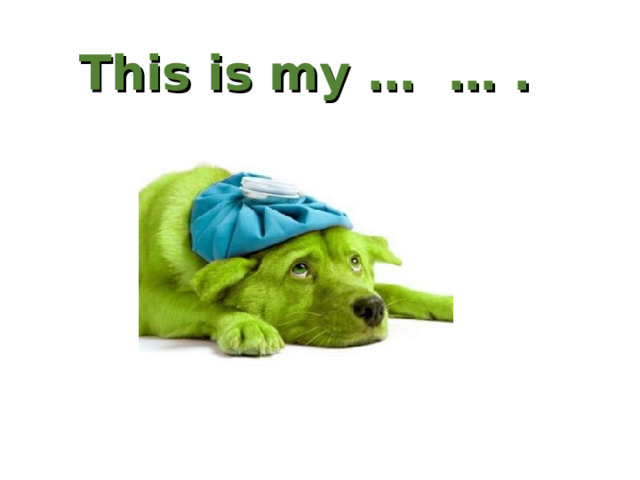 This is my … … . 