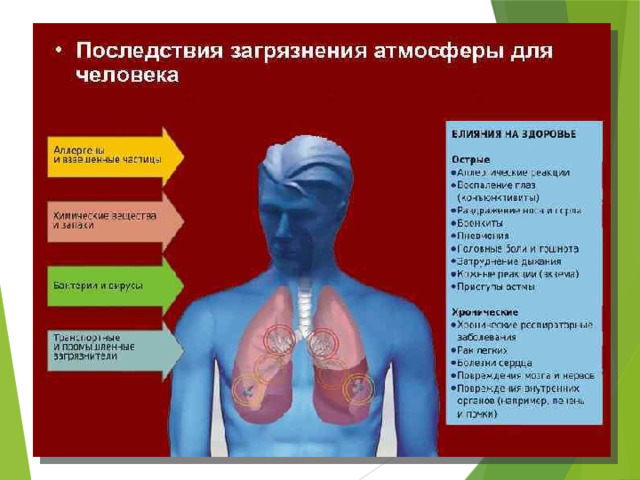 Вреден ли мдф для здоровья человека