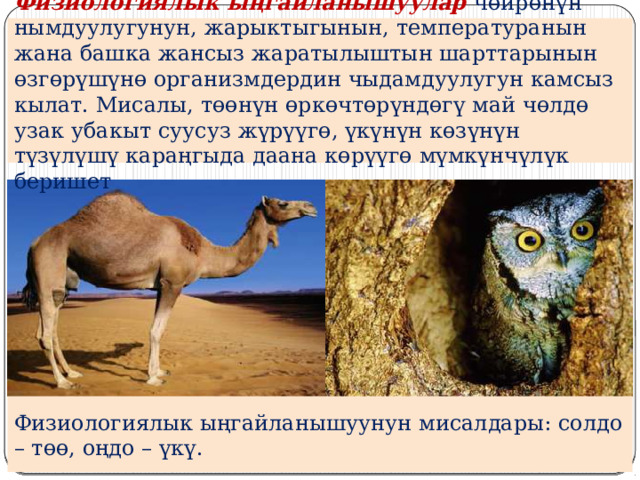 Физиологиялык ыңгайланышуулар чөйрөнүн нымдуулугунун, жарыктыгынын, температуранын жана башка жансыз жаратылыштын шарттарынын өзгөрүшүнө организмдердин чыдамдуулугун камсыз кылат. Мисалы, төөнүн өркөчтөрүндөгү май чөлдө узак убакыт суусуз жүрүүгө, үкүнүн көзүнүн түзүлүшү караңгыда даана көрүүгө мүмкүнчүлүк беришет Физиологиялык ыңгайланышуунун мисалдары: солдо – төө, оңдо – үкү. 