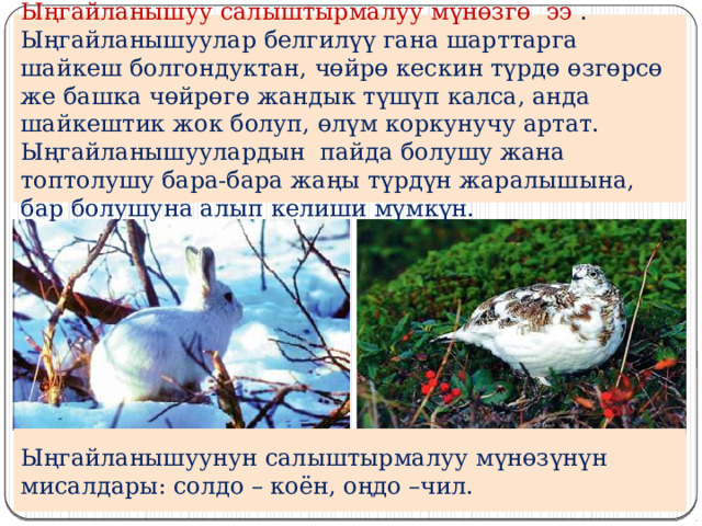 Ыңгайланышуу салыштырмалуу мүнөзгө ээ . Ыңгайланышуулар белгилүү гана шарттарга шайкеш болгондуктан, чөйрө кескин түрдө өзгөрсө же башка чөйрөгө жандык түшүп калса, анда шайкештик жок болуп, өлүм коркунучу артат. Ыңгайланышуулардын пайда болушу жана топтолушу бара-бара жаңы түрдүн жаралышына, бар болушуна алып келиши мүмкүн. Ыңгайланышуунун салыштырмалуу мүнөзүнүн мисалдары: солдо – коён, оңдо –чил. 