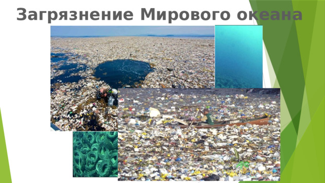 Загрязнение Мирового океана 