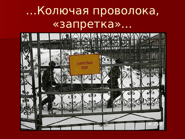 … Колючая проволока, «запретка»… 