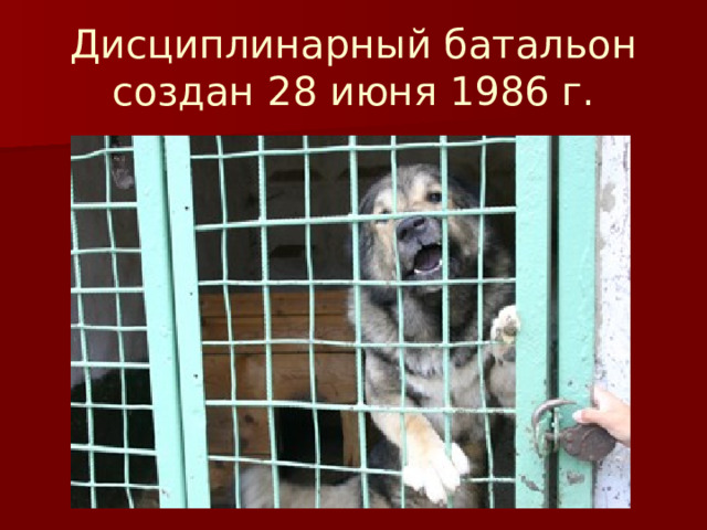 Дисциплинарный батальон создан 28 июня 1986 г. 