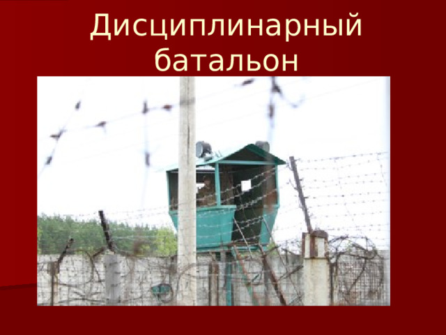 Дисциплинарный батальон   