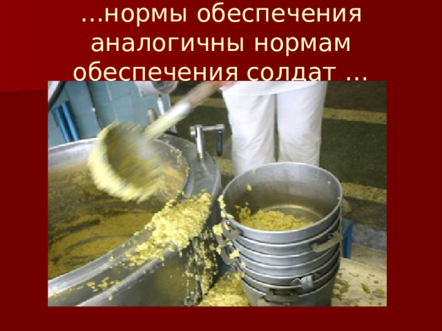 … нормы обеспечения аналогичны нормам обеспечения солдат … 