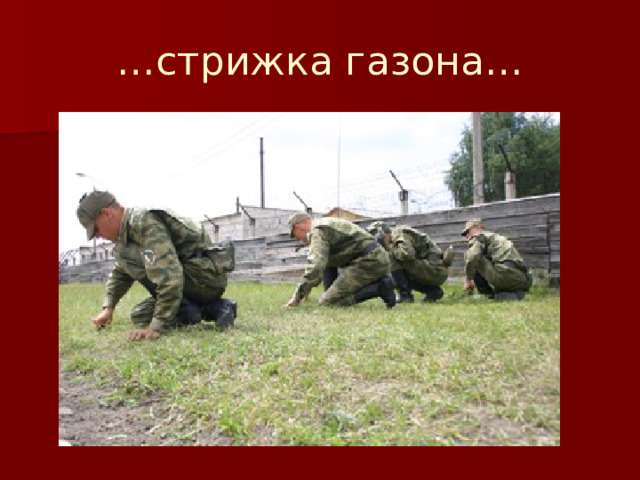 … стрижка газона… 
