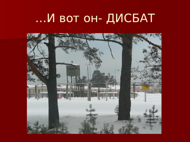 … И вот он- ДИСБАТ 