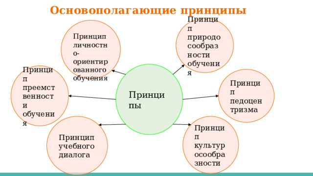 Основополагающие принципы Принцип природосообразности обучения Принцип личностно-ориентированного обучения Принципы Принцип преемственности обучения Принцип педоцентризма Принцип культуросообразности Принцип учебного диалога 