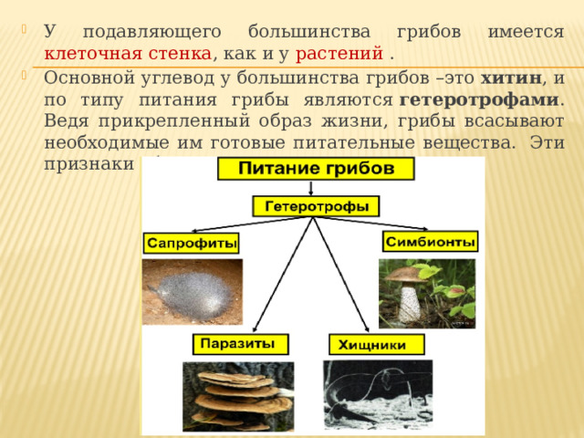 У подавляющего большинства грибов имеется клеточная стенка , как и у растений . Основной углевод у большинства грибов –это  хитин , и по типу питания грибы являются  гетеротрофами . Ведя прикрепленный образ жизни, грибы всасывают необходимые им готовые питательные вещества.  Эти признаки объединяют их с животными.         