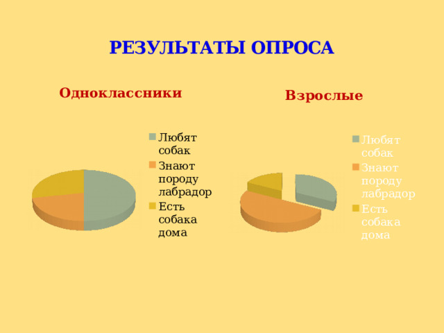 РЕЗУЛЬТАТЫ ОПРОСА 