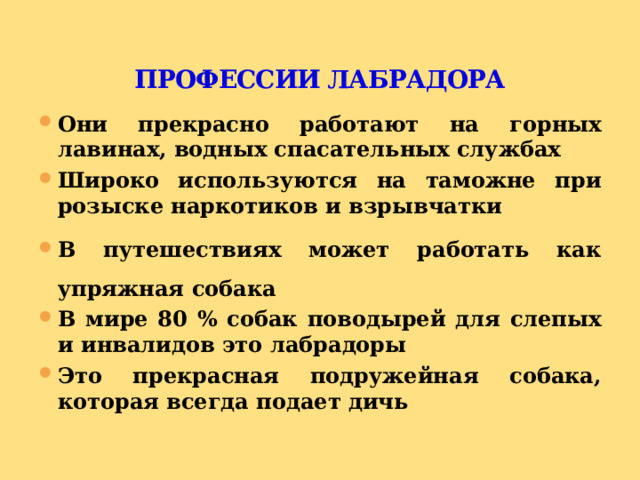 ПРОФЕССИИ ЛАБРАДОРА Они прекрасно работают на горных лавинах, водных спасательных службах Широко используются на таможне при розыске наркотиков и взрывчатки В путешествиях может работать как упряжная собака В мире 80 % собак поводырей для слепых и инвалидов это лабрадоры Это прекрасная подружейная собака, которая всегда подает дичь 