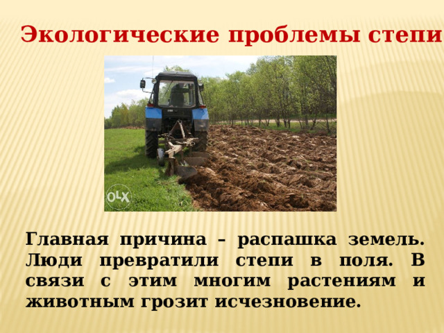 Регионы России с самой напряженной экологической обстановкой: рейтинг «Если быть точным»